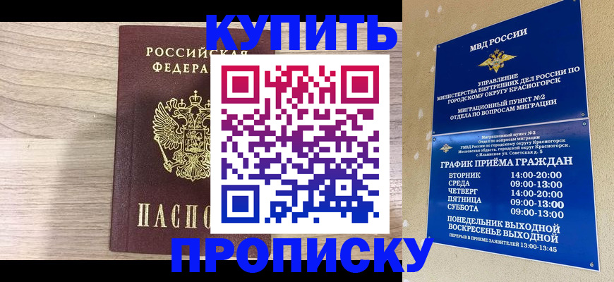 прописка 2025 в Елизово